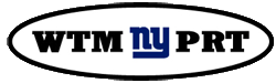 New York Giants 2005 Memorial Logo iron on paper